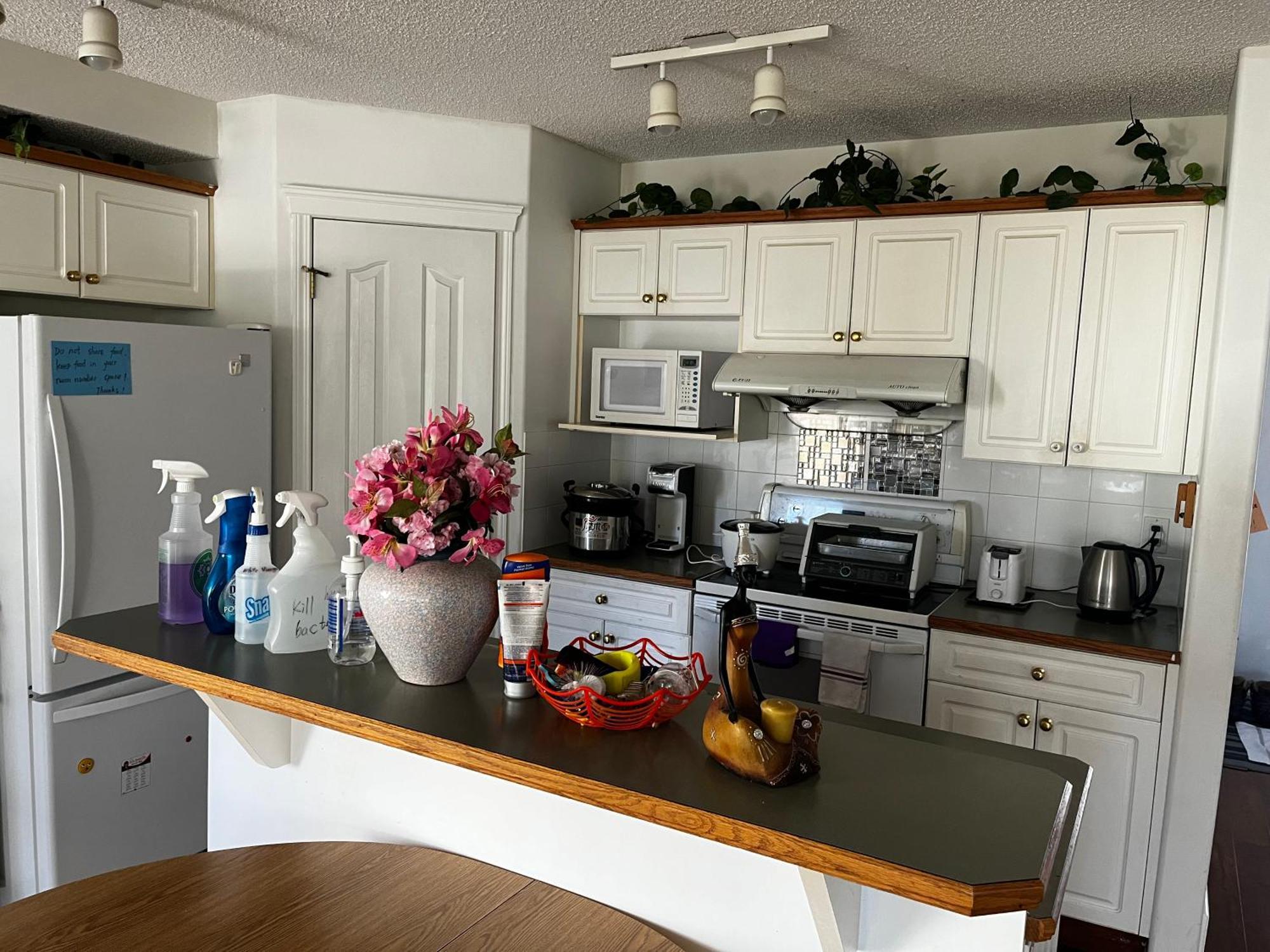 Hidden Valley New Basement Suite With Private Bathroom! YYC Exteriér fotografie